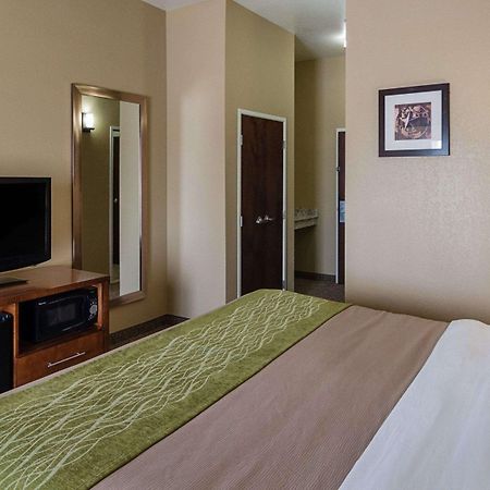 Comfort Inn Midland South I-20 Exterior photo